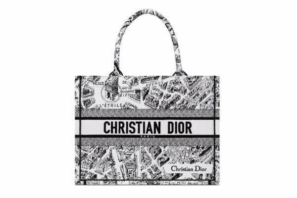 「ディオール アルプス」新作“パリの地図”を描いたパファージャケット＆「ブックトート」バッグなど
