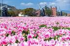 長崎・ハウステンボスで「100万本のチューリップ祭」園内各所にチューリップが咲き誇る、春の風物詩