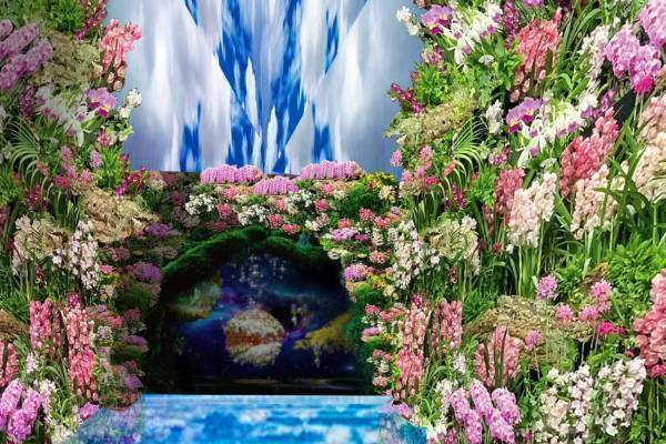 日本最大級・蘭の祭典｢世界らん展2024｣100万輪の蘭が集結、東京ドームシティ プリズムホールで