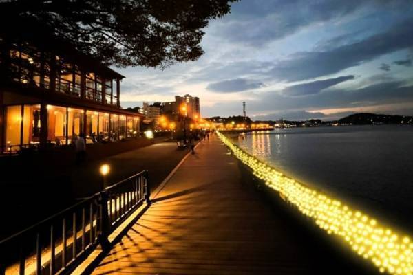 ヴェルニー公園「横須賀ウインターイルミネーション」煌めく“シャンパンゴールド”＆年越しイベントも