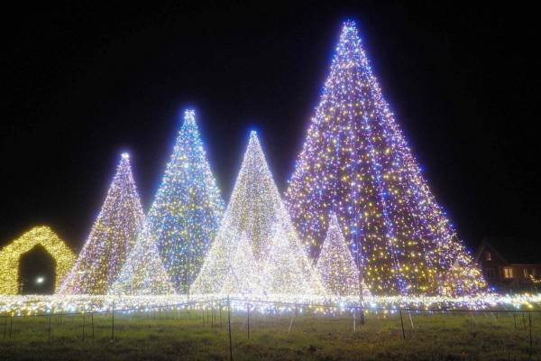 「軽井沢 クリスマスマーケット 2023」グルメ＆雑貨30店舗が集結、水面に映るイルミネーションも