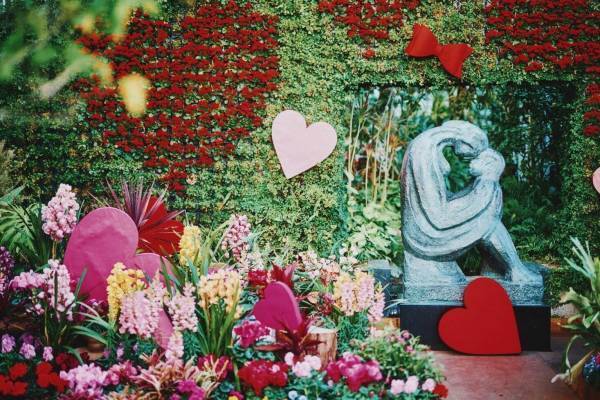 神戸布引ハーブ園の冬イベント - ハート×ピンクの花々のフォトスポット、ハーブ浮かぶ足湯も