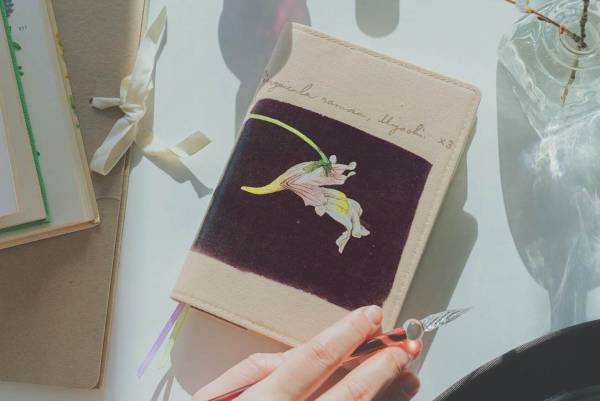 「ほぼ日手帳2023」4月はじまりの新作、植物学者・牧野富太郎やミナ ペルホネンとコラボ