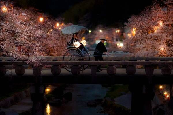 星野リゾートの温泉旅館「界 玉造」“夜桜巡り人力車”400本の桜を人力車で鑑賞、温泉湯たんぽと共に