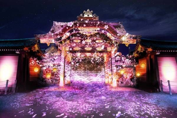 京都・二条城のライトアップ「ネイキッド フラワーズ 2023 桜」デジタルアート×アロマ演出