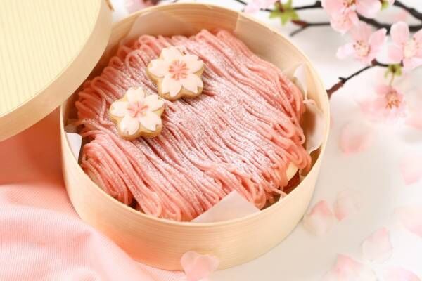 パティスリーピネード春限定「さくらのプチモンブラン」“桜”や“ねこ”のアイシングクッキー添え