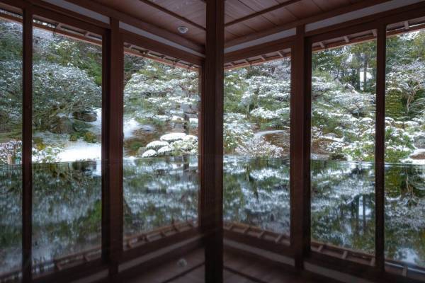 滋賀県の名勝庭園4選、抹茶を味わえる玄宮楽々園＆四季折々の景色を楽しむ旧竹林院庭園など