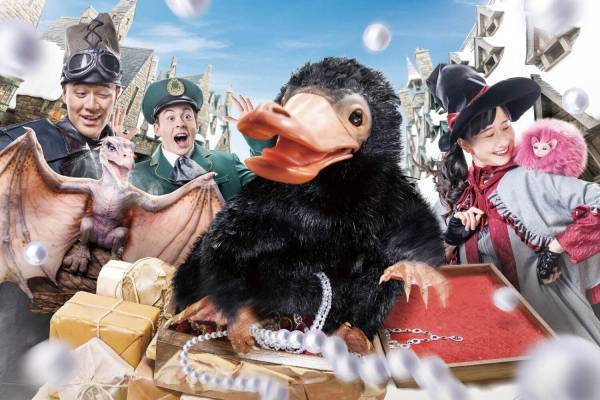 USJ「ウィザーディング・ワールド・オブ・ハリー・ポッター」に“魔法生物”と触れ合う新コンテンツ