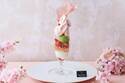 ストリングス表参道「桜パフェ」＆「桜モンブラン」桜が上品に香る春限定スイーツ