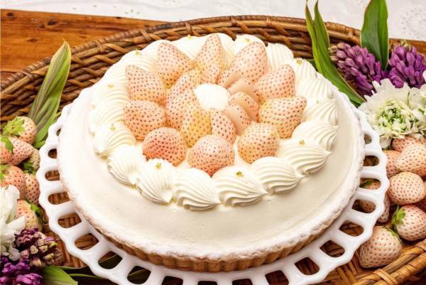 キル フェ ボンから白イチゴ「初恋の香り」のショートケーキ風タルト、ホワイトデー限定で