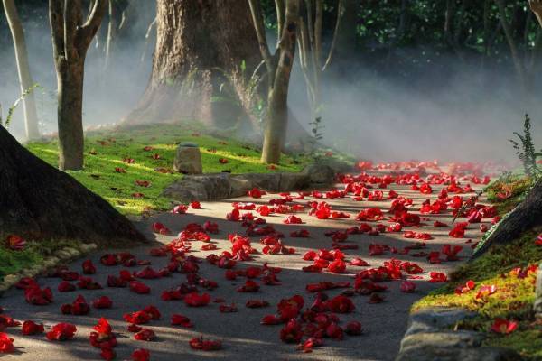 ホテル椿山荘東京“椿の花”を楽しむ宿泊プラン - 約2,300本が開花、庭園の幻想的なアート演出も