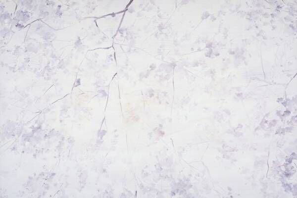 「美術館の春まつり」東京国立近代美術館で - 桜を描いた重要文化財など、春にちなんだ作品を紹介