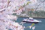 ロゼスパークリングワインとともに楽しむ目黒川のお花見クルーズ、約4キロにわたる桜並木を眺めながら