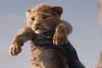 実写映画『ムファサ：ザ・ライオンキング(原題)』ライオン・キングの前日譚、監督はバリー・ジェンキンス