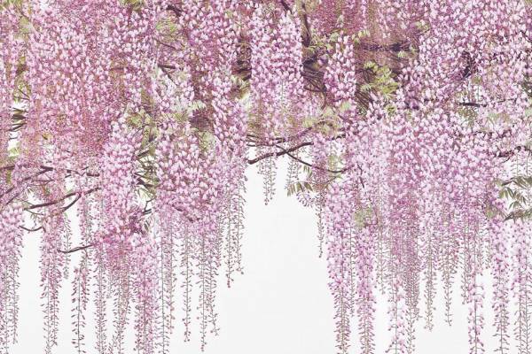 「吉村芳生展」長崎県美術館で - 細密な“鉛筆画”約500点、色鉛筆で描いた10ｍ越えの巨大絵画も