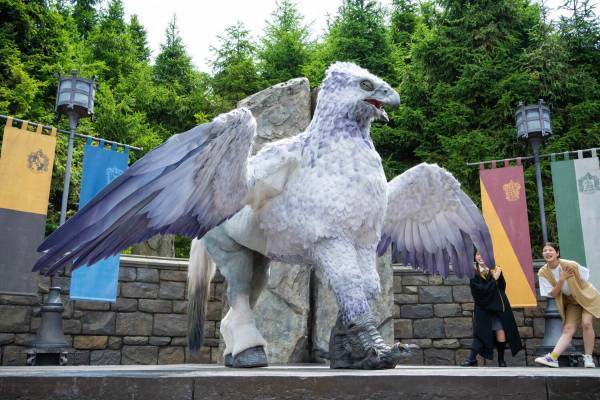 USJ「ウィザーディング・ワールド・オブ・ハリー・ポッター」魔法生物との触れ合いなど10周年イベント
