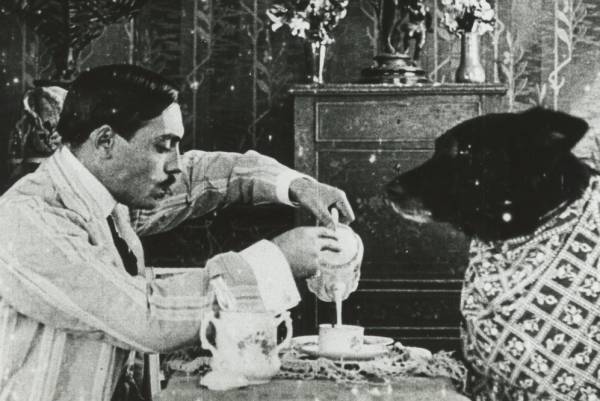 無声映画の上映イベント「サイレントシネマ・デイズ」東京・国立映画アーカイブで、ピアノ伴奏や活弁と共に