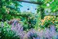 「神戸布引ハーブ園」チューリップやネモフィラが咲き誇る春夏イベント、ローズ＆ラベンダーも見頃に