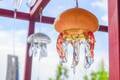 京都水族館の夏イベント「くらげと傘と風鈴と」涼し気な“クラゲ風鈴”展示、初登場の“クラゲ京和傘”も
