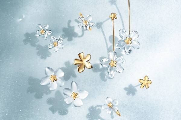 スタージュエリー24年夏“透明の花”サンカヨウ着想ピアス、クリア 