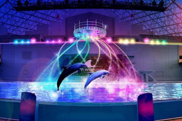 横浜・八景島シーパラダイス「ライブスタジアム」リニューアル、アイナ・ジ・エンドとのコラボイベントなど