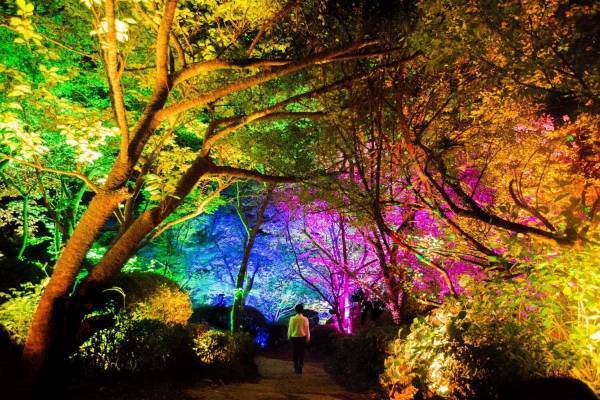 チームラボが佐賀・御船山楽園の大自然を光のアートに、滝”の投影や輝く桜＆もみじなど