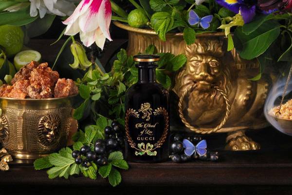 グッチ"錬金術”着想の香水「ザ アルケミスト ガーデン」に新作、ライオンイメージのフルーティアンバー