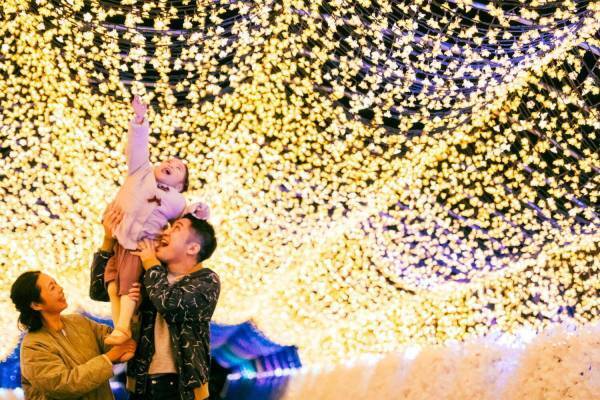 大井競馬場「東京メガイルミ2024-2025」“桜”イルミネーションや「ウマ娘」コラボの噴水ショー