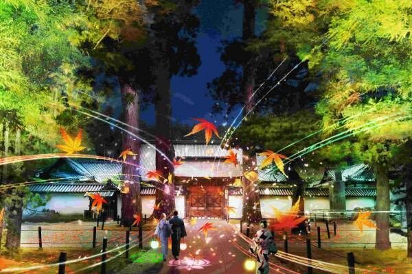 ネイキッド×宮城松島の国宝・瑞巌寺、2024年秋ライトアップイベント“まるで本物”花おみくじも