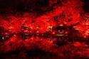 八芳園24年紅葉ライトアップで日本庭園が“真っ赤”に、幻想的な光のアートや秋の味覚メニュー