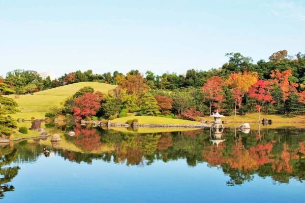 大阪・万博記念公園「紅葉まつり」モミジやイチョウ約1万本の絶景、庭園茶室＆屋台も