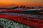 千葉・マザー牧場のイルミネーションイベント、“夕景＆夜景”と楽しむライトアップやナイト遊園地