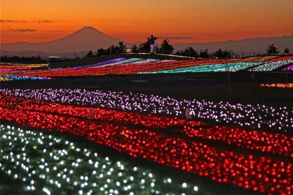 千葉・マザー牧場イルミネーションイベント、”夜景ライトアップ”やナイト遊園地