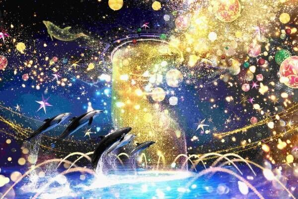 マクセル アクアパーク品川のクリスマスは水族館が“星空の海”に、幻想的な夜のドルフィンパフォーマンス