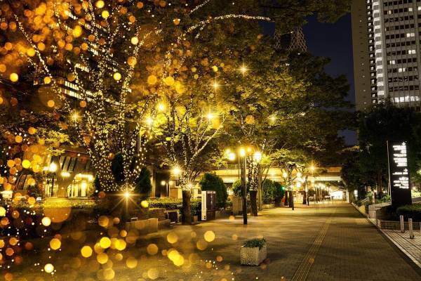 「西新宿イルミネーションマーケット」シャンパンゴールドカラーに点灯、キッチンカー＆マルシェも