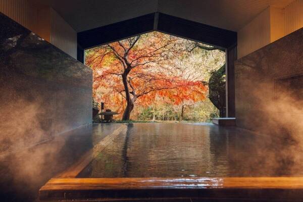 星野リゾートの温泉旅館「界 箱根」25年夏リニューアルオープン、癒しの茶屋空間＆伝統文化感じる客室