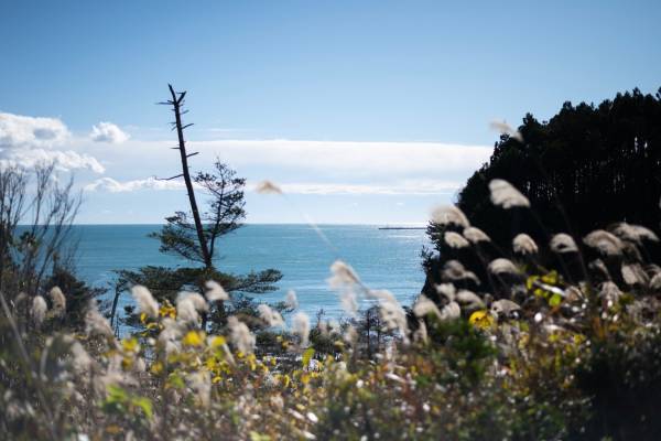 宮島達男のLED作品を恒久設置「《時の海 — 東北》美術館(仮称)」福島・富岡に2027年竣工