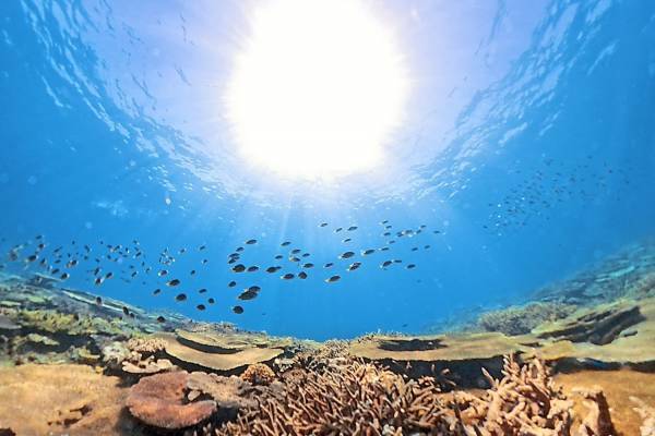 沖縄・国頭村の“大自然＆星空”を堪能するプラネタリウム、コニカミノルタプラネタリウム全5館で