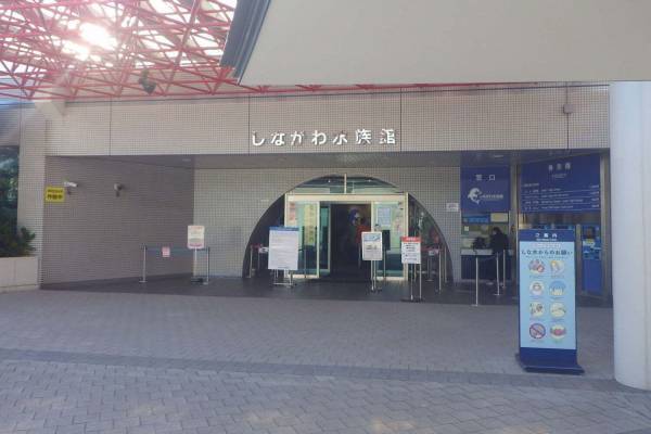 東京・勝島の「しながわ水族館」リニューアル、海を感じる“都市型リゾート”のような展示空間に刷新