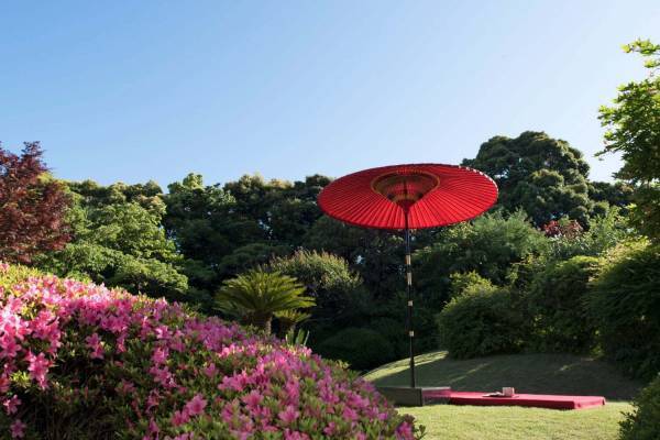 星野リゾートの温泉旅館「界 伊東」で花見イベント、フジやアジサイが咲く庭園散策＆提灯づくり体験