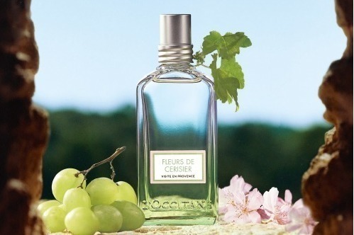 ロクシタン25年春ボディケア「ホワイトマスカットチェリーブロッサム」“満開の桜×ぶどう香る”香水も