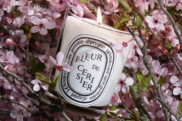 ディプティック“満開の桜の木”着想フレグランスキャンドル、ローズ香るフローラルムスク