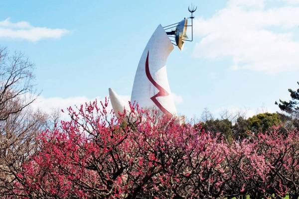 大阪・万博記念公園「梅まつり」約680本の梅が開花、チョーヤコラボの“利き梅酒”や梅スイーツも