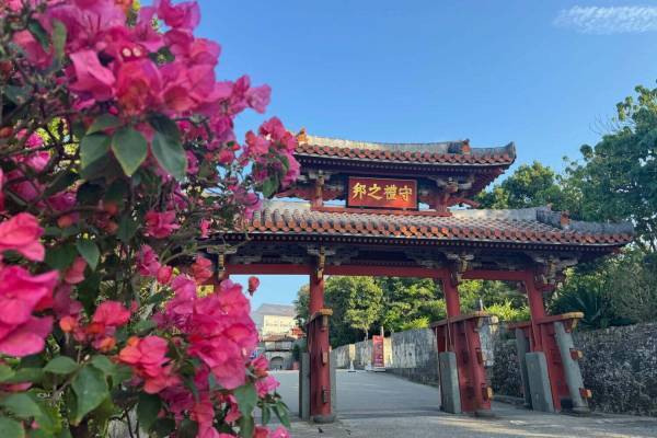 沖縄・首里城公園の春イベント「華みぐい」国宝“守礼門＆歓会門”をピンクの花々で彩る