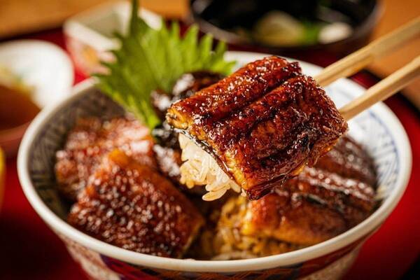 「炭焼 うな富士」名古屋発の鰻屋がグラングリーン大阪南館に、“ふわとろ特大うなぎ”のひつまぶしなど