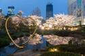 春イベント「六本木ヒルズ 春まつり」夜桜ライトアップ＆グルメ屋台、日本の伝統芸能公演も