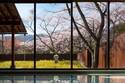 星野リゾートの温泉旅館「界 鬼怒川」桜に囲まれた温泉＆テラス貸切の滞在プランで花見を堪能