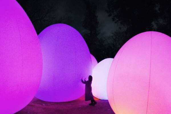 「チームラボ ボタニカルガーデン 大阪」光と音が呼応する“卵型”体験アートがリニューアル