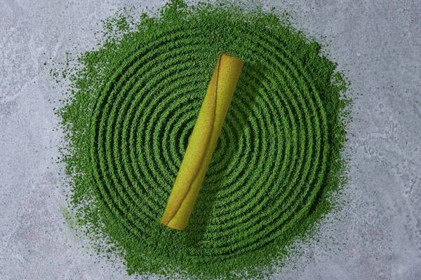 ヨックモック初夏限定「シガール オゥ マッチャ」蔵出し宇治抹茶×バターたっぷりクッキー