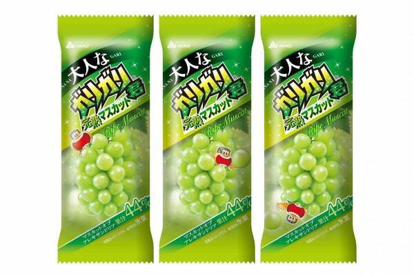 「大人なガリガリ君完熟マスカット」“ぶどうの女王”果汁使用、爽やかな甘さの新作アイスキャンディー